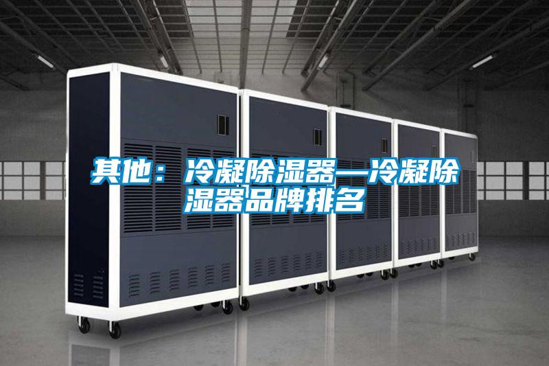 其他:冷凝除湿器—冷凝除湿器品牌排名