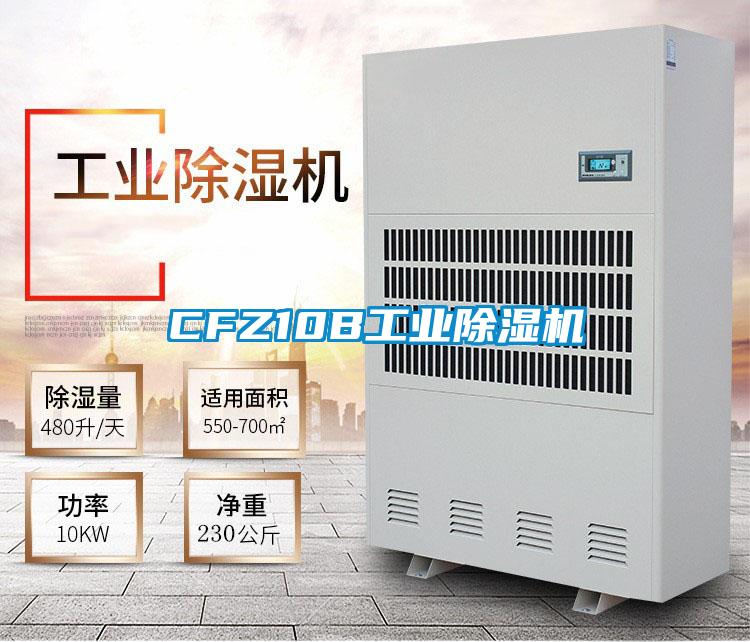 CFZ10B工业除湿机