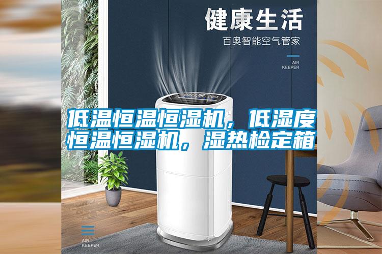 低温恒温恒湿机，低湿度恒温恒湿机，湿热检定箱