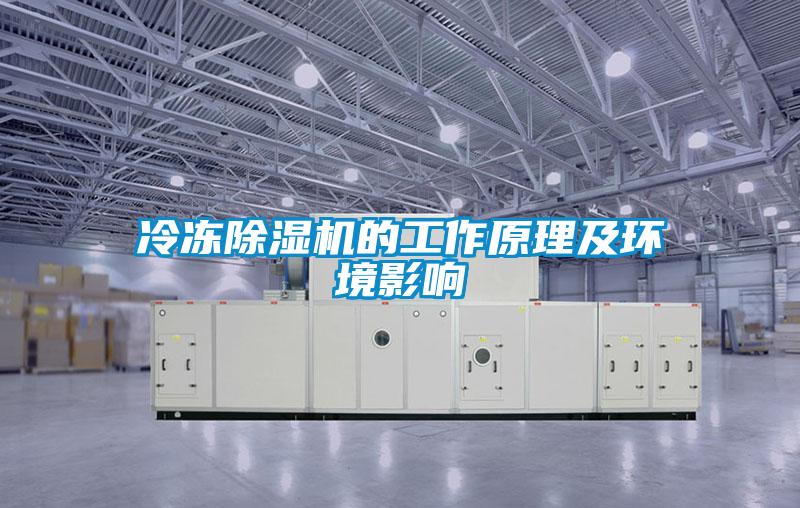 冷冻除湿机的工作原理及环境影响