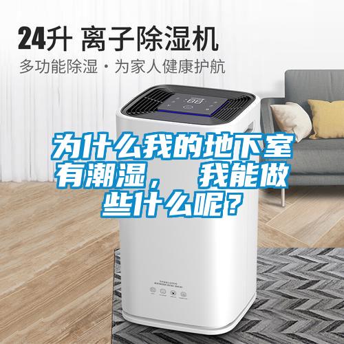 为什么我的地下室有潮湿， 我能做些什么呢？