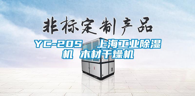 YC-20S 上海工业除湿机 木材干燥机