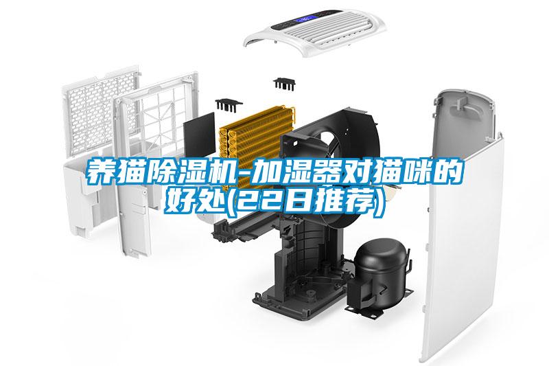 养猫除湿机-加湿器对猫咪的好处(22日推荐)