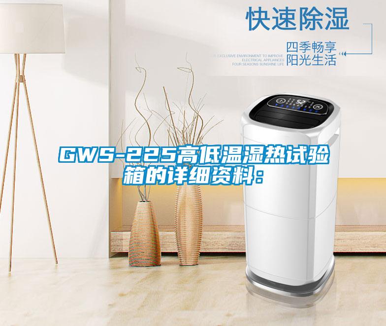 GWS-225高低温湿热试验箱的详细资料：