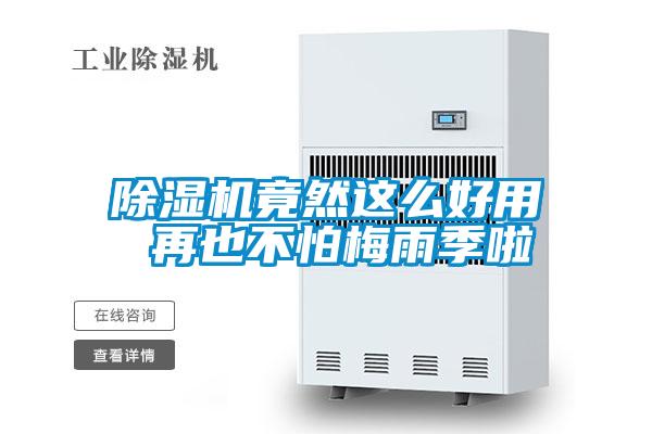 除湿机竟然这么好用 再也不怕梅雨季啦