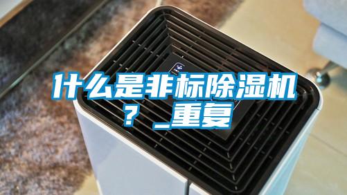什么是非标除湿机？_重复