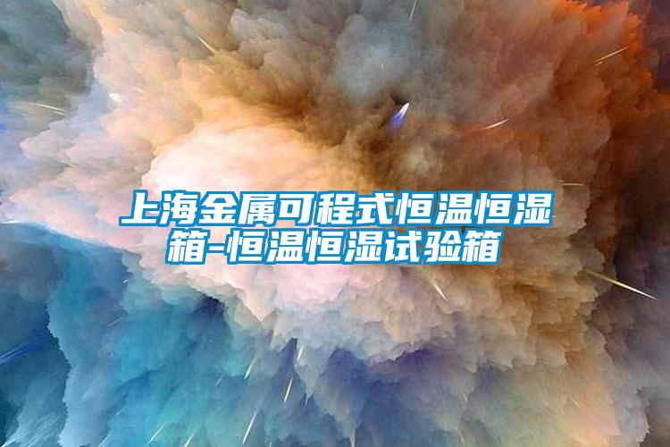 上海金属可程式恒温恒湿箱-恒温恒湿试验箱