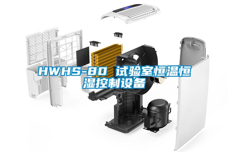 HWHS-80 试验室恒温恒湿控制设备