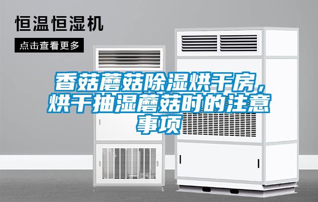 香菇蘑菇除湿烘干房，烘干抽湿蘑菇时的注意事项