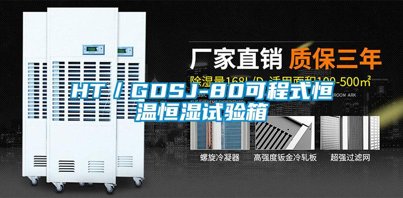 HT／GDSJ-80可程式恒温恒湿试验箱