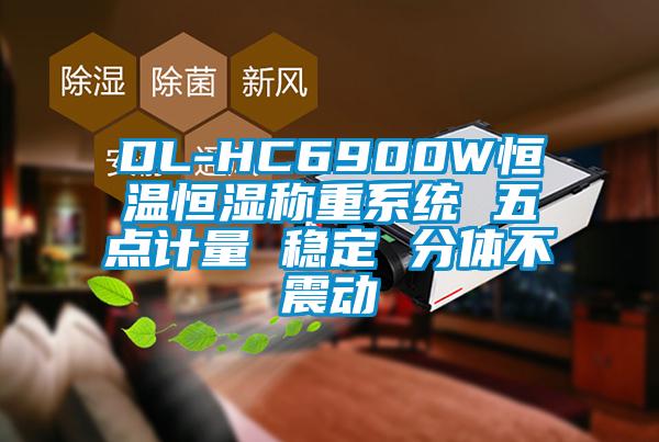 DL-HC6900W恒温恒湿称重系统 五点计量 稳定 分体不震动