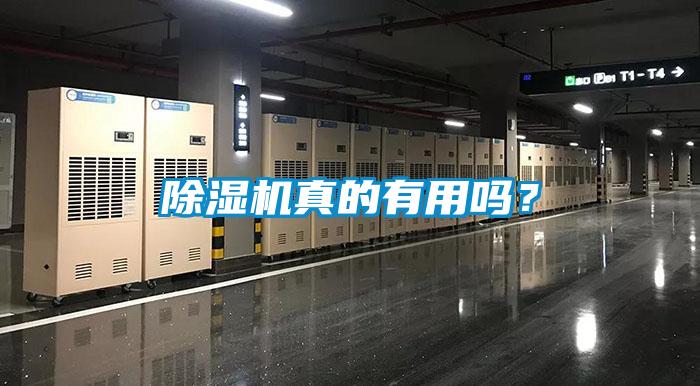 除湿机真的有用吗？