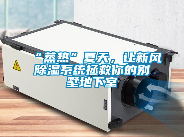 “蒸热”夏天，让新风除湿系统拯救你的别墅地下室