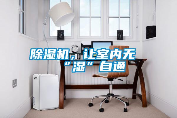 除湿机，让室内无“湿”自通