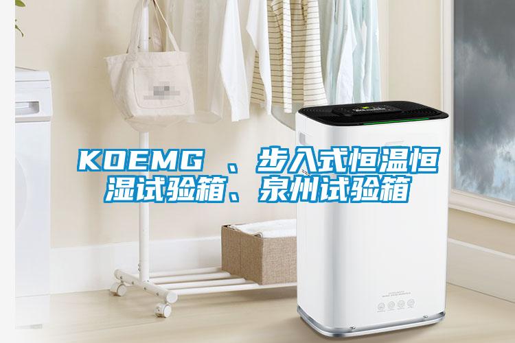 KOEMG 、步入式恒温恒湿试验箱、泉州试验箱