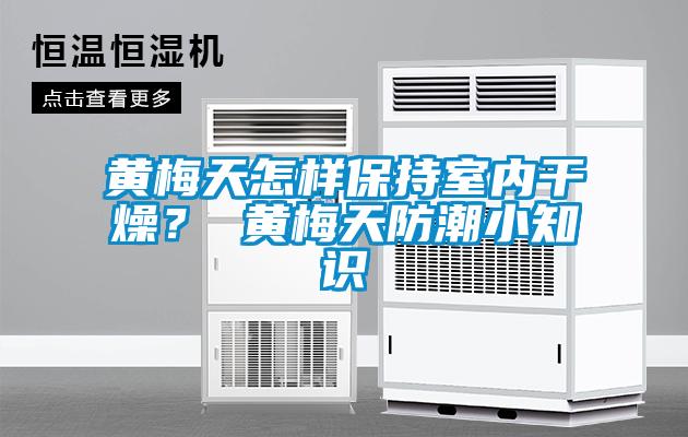 黄梅天怎样保持室内干燥？ 黄梅天防潮小知识