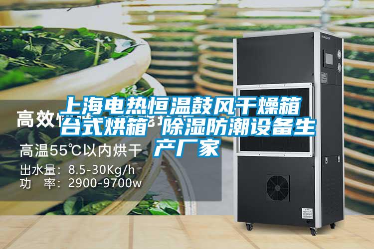 上海电热恒温鼓风干燥箱 台式烘箱 除湿防潮设备生产厂家