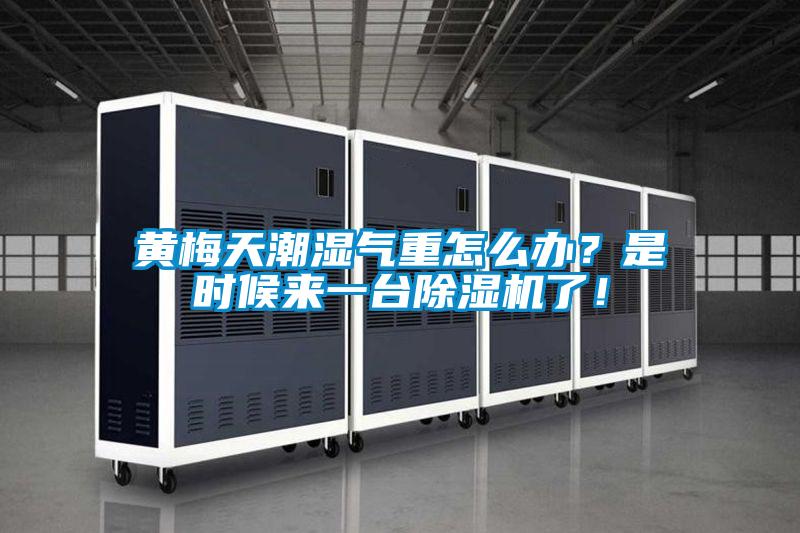 黄梅天潮湿气重怎么办？是时候来一台除湿机了！