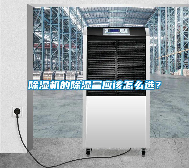 除湿机的除湿量应该怎么??？