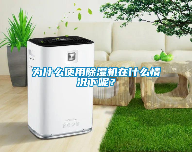 为什么使用除湿机在什么情况下呢？