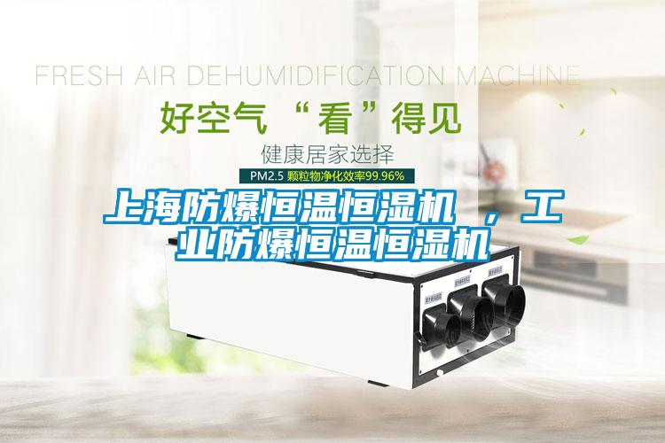 上海防爆恒温恒湿机 ，工业防爆恒温恒湿机