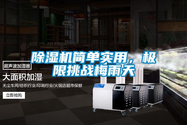 除湿机简单实用，极限挑战梅雨天