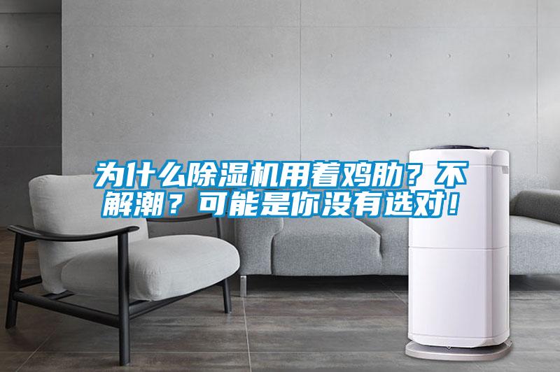 为什么除湿机用着鸡肋？不解潮？可能是你没有选对！