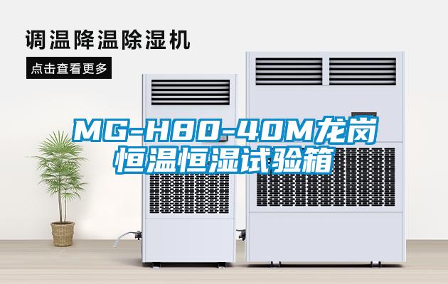 MG-H80-40M龙岗恒温恒湿试验箱