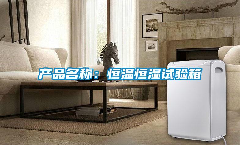 产品名称:恒温恒湿试验箱