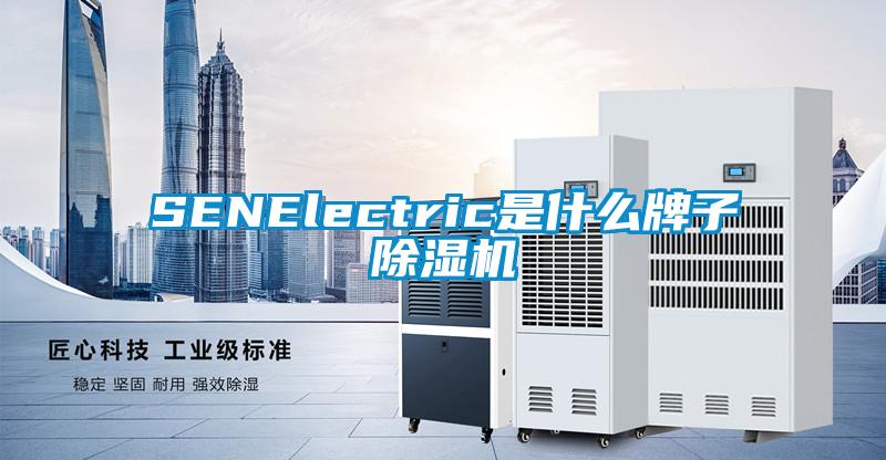 SENElectric是什么牌子除湿机