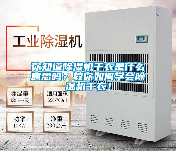 你知道除湿机干衣是什么意思吗？教你如何学会除湿机干衣！