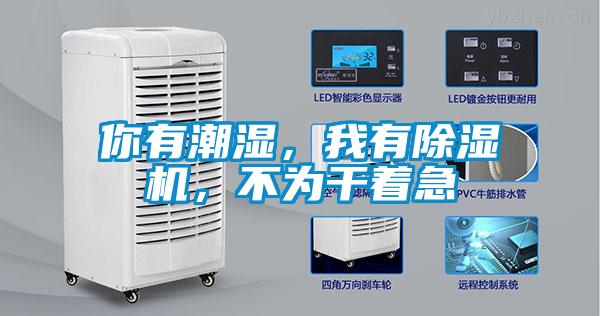 你有潮湿，我有除湿机，不为干着急