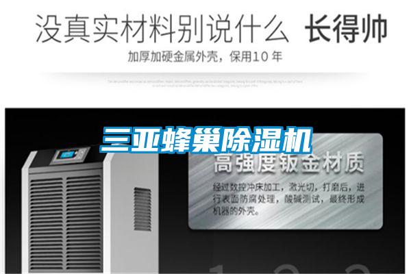 三亚蜂巢除湿机