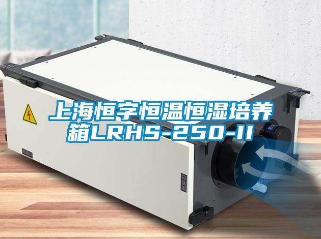 上海恒字恒温恒湿培养箱LRHS-250-II