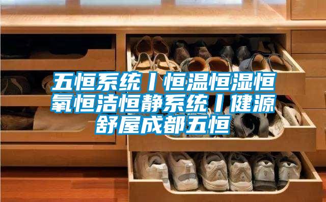 五恒系统丨恒温恒湿恒氧恒洁恒静系统丨健源舒屋成都五恒