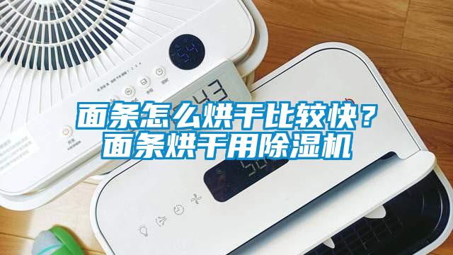 面条怎么烘干比较快？面条烘干用除湿机