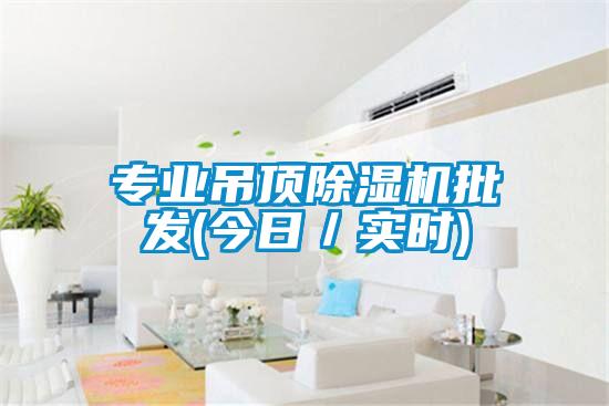 专业吊顶除湿机批发(今日／实时)