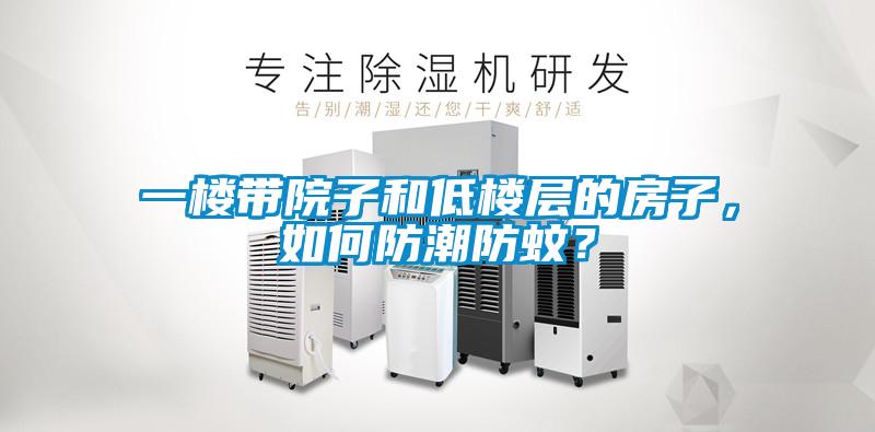 一楼带院子和低楼层的房子，如何防潮防蚊？