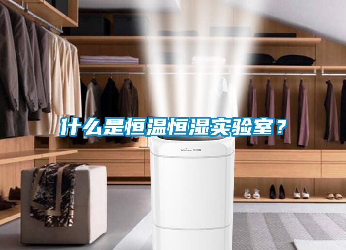 什么是恒温恒湿实验室？