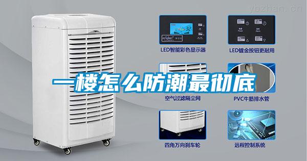 一楼怎么防潮最彻底