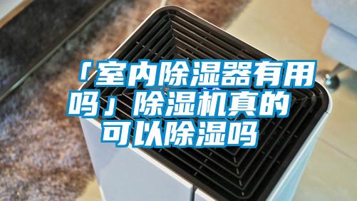 「室内除湿器有用吗」除湿机真的可以除湿吗