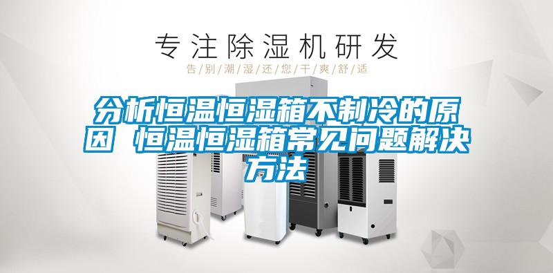 分析恒温恒湿箱不制冷的原因 恒温恒湿箱常见问题解决方法