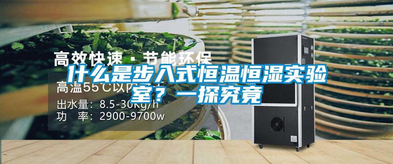 什么是步入式恒温恒湿实验室？一探究竟