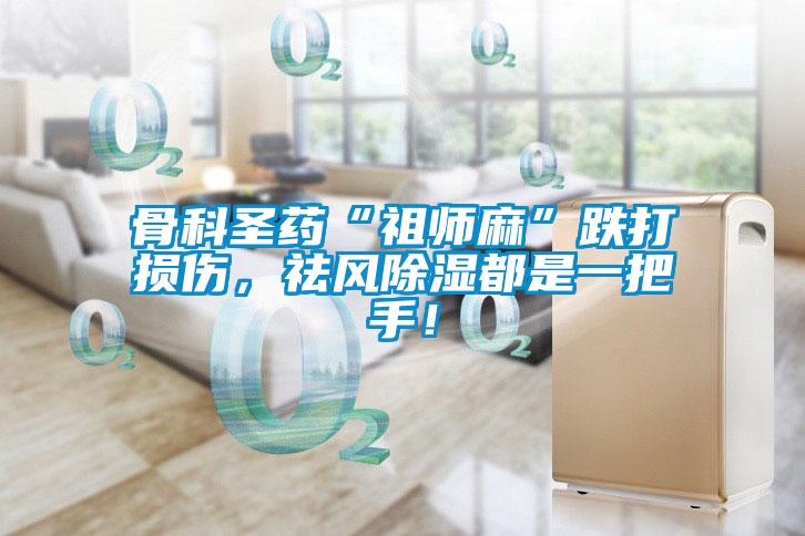 骨科圣药“祖师麻”跌打损伤，祛风除湿都是一把手！