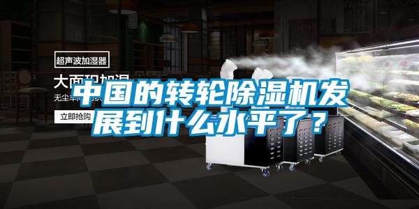 中国的转轮除湿机发展到什么水平了？