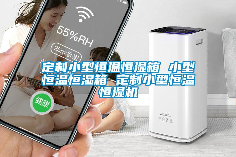 定制小型恒温恒湿箱 小型恒温恒湿箱 定制小型恒温恒湿机