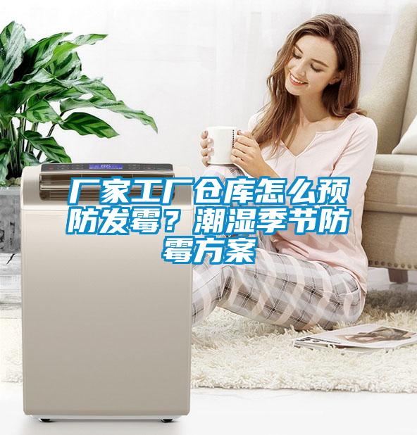 厂家工厂仓库怎么预防发霉？潮湿季节防霉方案