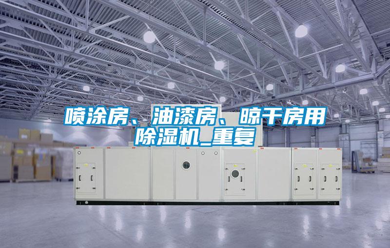 喷涂房、油漆房、晾干房用除湿机_重复