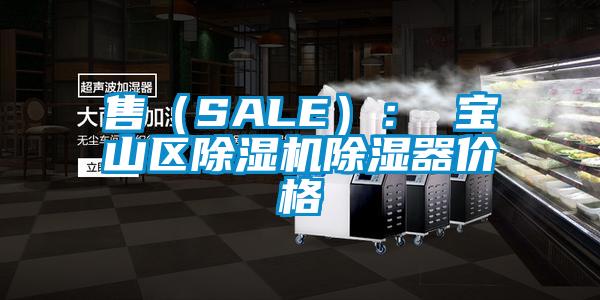 售（SALE）： 宝山区除湿机除湿器价格