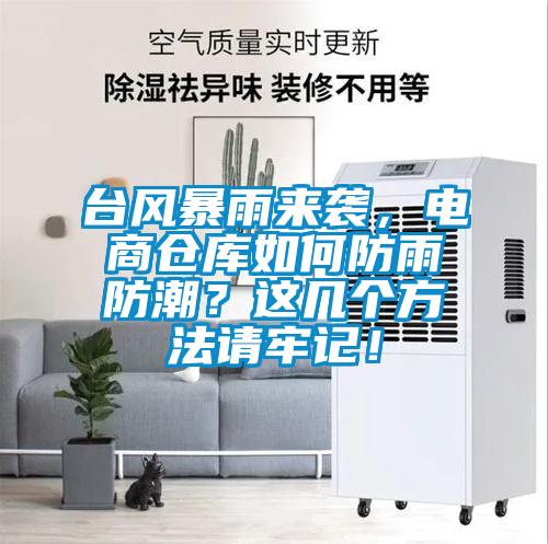 台风暴雨来袭，电商仓库如何防雨防潮？这几个方法请牢记！